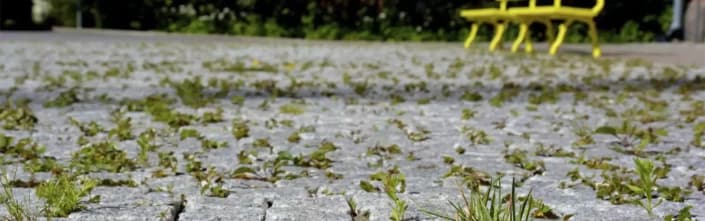 Tecnovap Norge | Ugressfjerning med damp